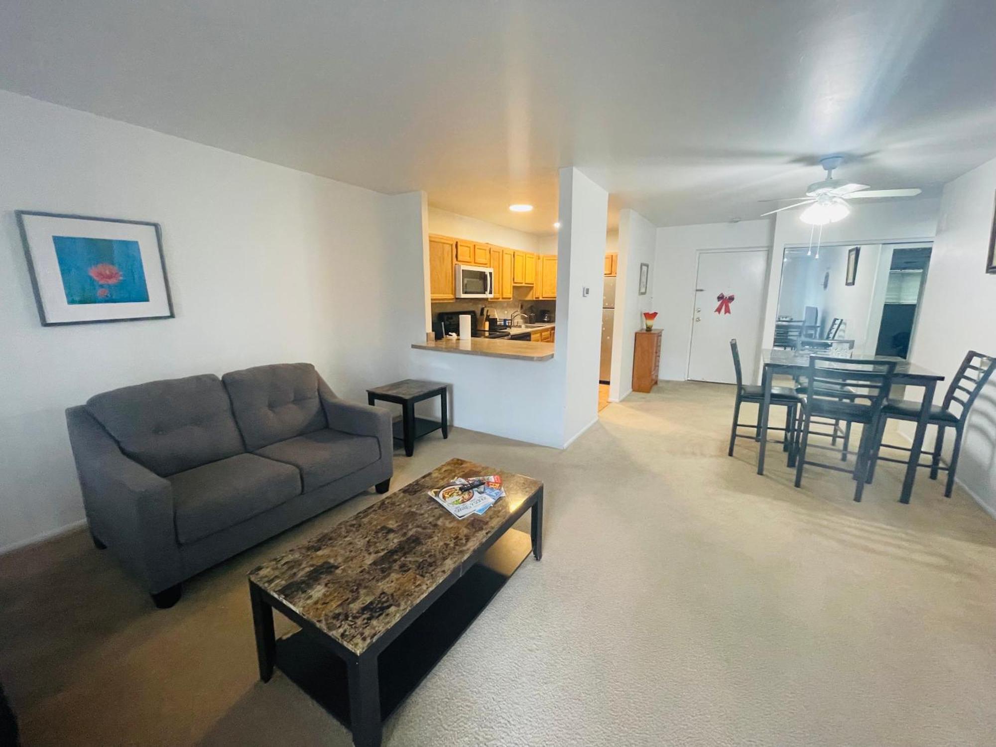 Large, Clean, Comfortable, 1Br Near Einstein Hos Elkins Park Exterior photo
